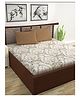 Divine Casa Paisley Blend Cotton Double Bedsheet with 2 Pillow Covers - Beige & Brown