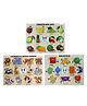 Enjunior Box Fruits Shapes and Animals Puzzle with Knobs Multicolour - 34 Pieces