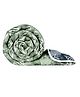 Divine Casa 120 GSM Microfiber Polyester Reversible Single Comforter Abstract Print - Green and Grey