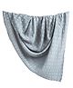 Crane Baby Ezra Collection Muslin Swadddle River Dash - Grey