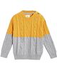 Cherry Crumble By Nitt Hyman Full Sleeves Cable Knit Colour Blocked Sweater - Mustard Yellow & Grey