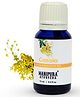 Manipura Ayurveda Aromatheraphy Cassia Essential Oil - 15 ml