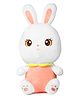 Fiddlerz Rabbit Soft Toy Multicolour - Height 65 cm
