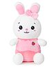 Fiddlerz Bunny Soft Toy - Height 35 cm(Colour May Vary)