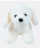 Dukiekooky Puppy Soft Toy White - Length 20 cm