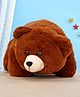 EDU KIDS TOYS Soft Toy Lying Polar Bear Brown - Height 35 cm