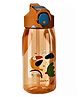 FunBlast Anti-Leak Bird Print Water Bottle with Sipper - 550 ML