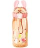 FunBlast Anti-Leak Rabbit Print Water Bottle with Sipper - 550 ML