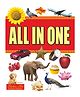 All In One Picture Book - English