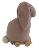 Pluchi Push & Pull Bunny Toy on Wooden Cart - Multicolour