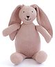 Pluchi Rabbit Soft Toy Multicolour - Height 35 cm