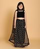 Piccolo Sleeveless Choli And Motif Printed Lehenga With Dupatta - Black