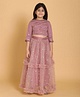 Piccolo Three Fourth Sequins Embellished Choli With Lehenga - Pink