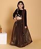 Piccolo Full Sleeves Flower Hand Embroidered Choli With Lehenga & Dupatta - Brown