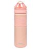 Toyshine BPA Free Double Wall Vacuum Insulated Water Bottle with Straw Pink- 550 ml