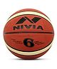 NIVIA Engraver Size 6 Basketball - Multicolour