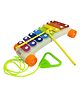 FunBlast Xylophone with Wheels & Sticks - Multicolour