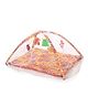 Lovely Baby Play Gym With Mosquito Net - Multi Color