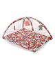 Lovely Baby Play Gym With Mosquito Net - Red