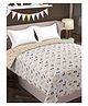 Florida Cotton Double Bed All Season Reversible AC Dohar - White Beige