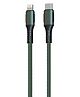 Portronics POR 1067 Konnect C Type C to Lightning Cable - Green