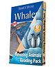 Self Reading Books about Animals Set of 8 Books - English