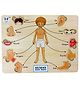 ENJUNIOR BOX -  Wooden Human Body Parts Puzzle without Knobs Educational and Learning Toy for Kids