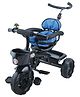 Toyzoy Maple Grand Baby Trike Tricycle with Safety Guardrail - Blue