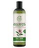 Petal Fresh Scalp Treatment Tea Tree Shampoo - 355 ml 