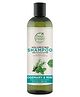 Petal Fresh Volumizing Rosemary & Mint Shampoo - 355 ml 