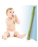 Bembika Hollow Tubes Shape Baby Teether Toys - Green