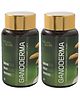 Nature Sure Ganoderma LingZhi Reishi Mushroom Capsules  Pack of 2 - 120 capsules