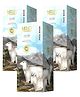NEUD Goat Milk Premium Face Wash Pack of 3 - 900 ml