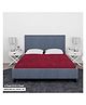 Sassoon Elastic Strap King Size Mattress Cover - Maroon