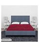 Sassoon Elastic Strap Queen Size Waterproof Mattress Cover - Maroon