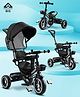 Babyhug  Plug & Play Stallion Tricycle With Parental Push Handle & Foldable Canopy - Black