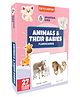 Animals & Their Babies Flash Cards For Kids Easy & Fun Way Of Learning 