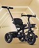 Plug & Play Tricycle With Parental Push Handle - Black