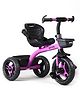 Plug & Play Tricycle With Storage Baskets - Purple