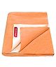 VParents Chubby Cheeks Water Proof Baby Bed Protector Reusable Dry Sheet Small - Orange