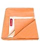 VParents Chubby Cheeks Water Proof Baby Bed Protector Reusable Dry Sheet Large - Orange
