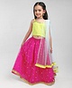 Saka Designs Singlet Choli & Full Length Lehenga with Dupatta Zari Border - Pink Yellow