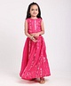 Saka Designs Sleeveless Sequinned Choli & Lehenga - Fuchsia