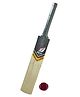 Airic Kashmiri Popular Willow Cricket Bat with Tennis Ball Suitable (Size 1) Cricket Kit - Multicolor