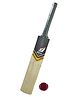 Airic Kashmiri Popular Willow Cricket Kit with Tennis Ball Size 2 - Multicolor
