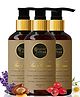 Organic Affaire Combo Pack of 3 Paraben Free Lavender Body Lotion - 600 ml
