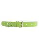 Childway Buckle Closure Belt- Green