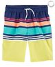 Carter's Striped Swim Trunks - Blue