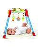 Toyzone Giraffe Baby Play Gym - Color & Design May Vary