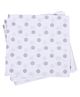 Party Anthem Silver polka Dots Paper Napkins 40 Sheets - Silver